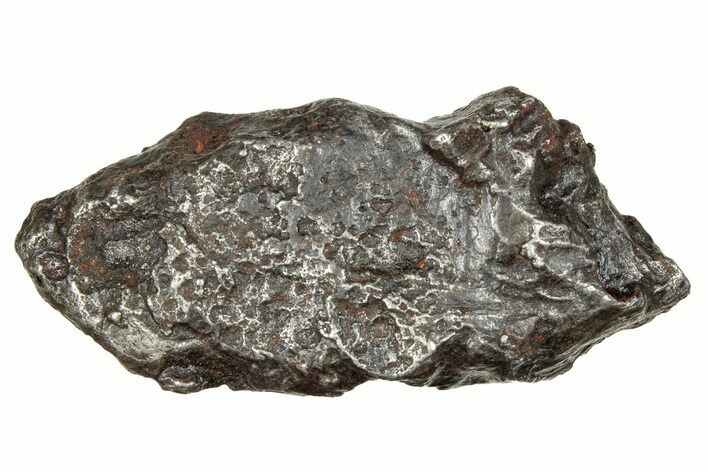 Sikhote-Alin Iron Meteorite Shrapnel ( g) - Russia #246969